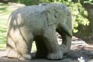 Xalets Galle Henna Estate