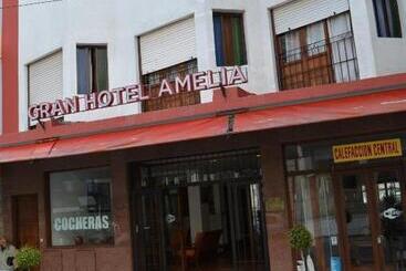 Gran Hotel Amelia