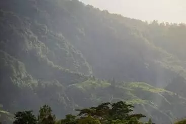 Hotelli Marianna Resort & Convention Tuktuk Samosir