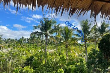 استراحتگاه Schönhouse Villa Siargao