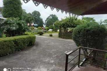 Pine View Homestay