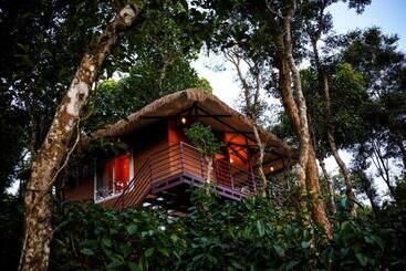 Kurort  Coffee Cradle Wayanad Luxuorios Private Tree House   Inside 2 Acre Coffee Plantation Wetlands Wayana