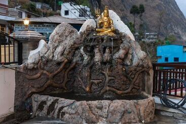 هتل Natural Spring Pvt.ltd