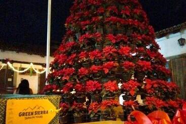 Hotel Bugamvillas Tapalpa