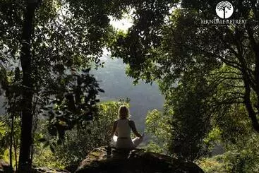 Lomakeskus Ferndale Retreat