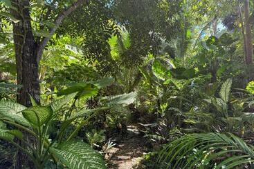 Majatalo Jungle Kingdomes Guest House