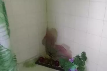 پانسیون Majestic