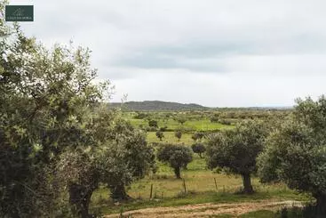 Casa Da Nora