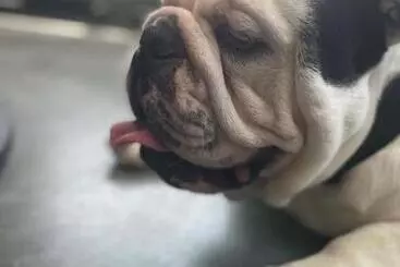 Hotelli Yacht One Family Suite Near Hidden Valley Ski