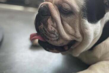 فندق Captain Two Room For Two Near Purina Farms