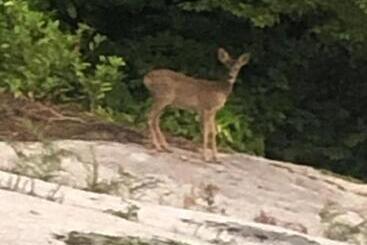 مبيت وإفطار Charmes De La Forêt