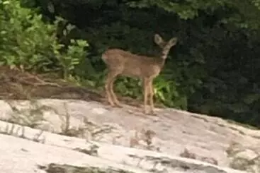 Aamiaismajoitus (B&B) Charmes De La Forêt