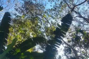 ユースホステル Cabanas Aconchego Do Caboclo