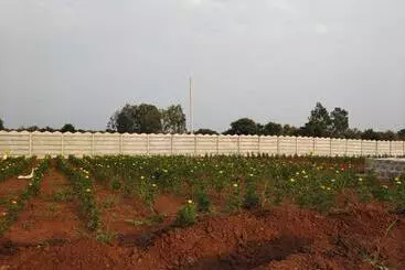 Live In Farm House