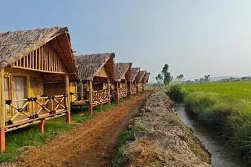 Pension  The Sundown Hampi