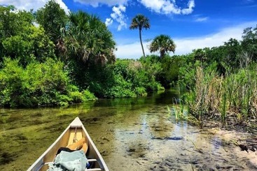 בית מלון כפרי Shamrock Cove Inn