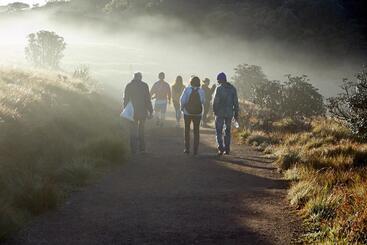 Bed and Breakfast Queen S Inn