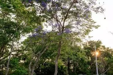 ホテル Spa Agua Milagrosa