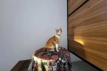 Meow! Marcia Youth Hostel