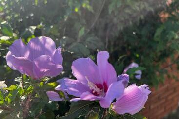 膳宿费 Camere In Villa Gianfranca