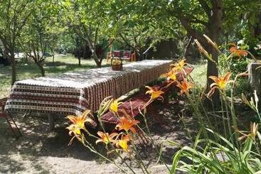 Pensão Alfa Guesthouse