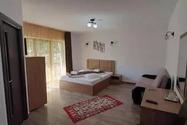 ペンション Casa Maria Moieciu C