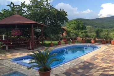 膳宿费 Sárvári Vendégház Pécs,hosszúhetény