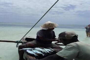 펜션 Bb Ayla Beach House Zanzibar