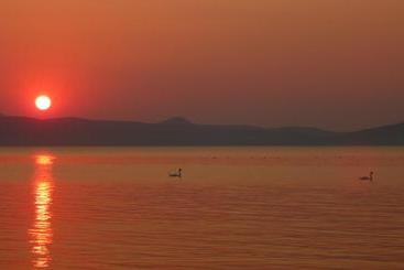 Отель Aranyhíd