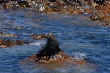 Hotel Crayfish Lodge Sea & Country Guest House