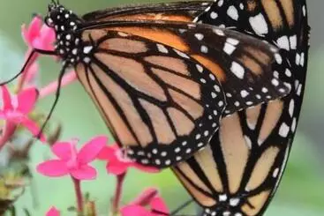 Hotel Mindo Monasterium