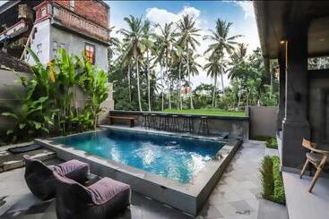 膳宿费 Harmony House 6. Just Built! 2 Min Ubud Center!