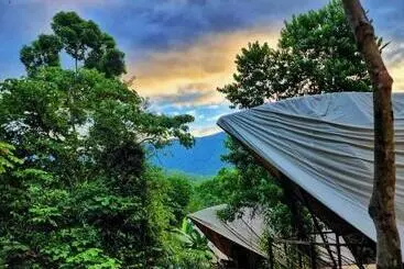 Jungle Gayborhood   Lgbtq Boutique Hotel And Retreat