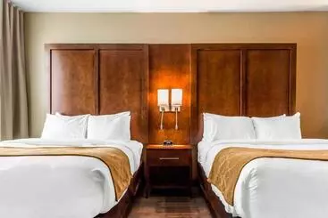ホテル Comfort Suites University Brookings