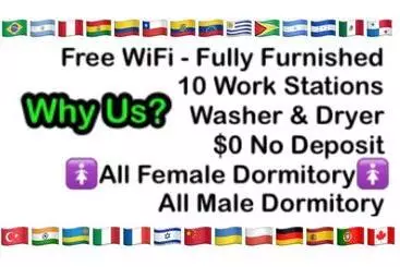 هاستل Miami On A Budget   Free Coffee  Female Dorms   Men Dorms Under New Management