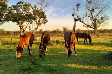 ホテル Estancia San Baltazar