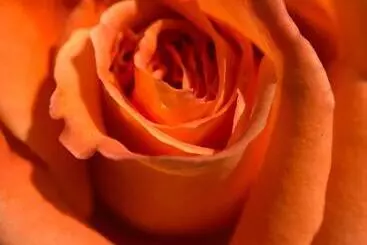 Majatalo Il Rifugio Delle Rose