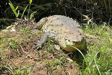 هتل Adventurelalotour