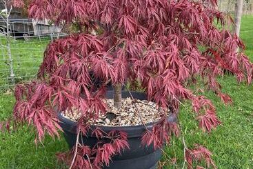 별장 Luxury Shepherd S Hut Style Cabin With Views
