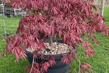 Mökkimajoitus Luxury Shepherd S Hut Style Cabin With Views