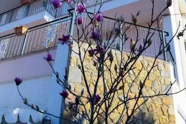 ホテル Restorant Halal Il Tramonto