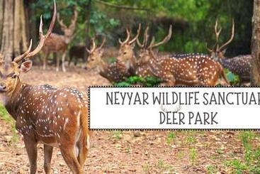 Pensione Canan Lake Home