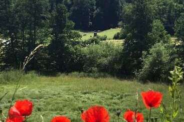 Land Gut Hotel Dornröschen