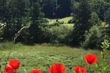 Land Gut Hotel Dornröschen