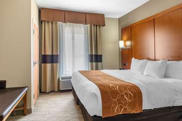 ホテル Comfort Suites University