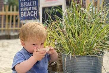 Gasthaus Hotel Rosenboom