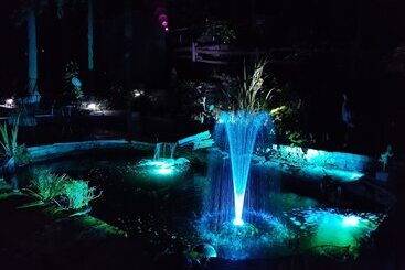 Hotel Forest Hill Bed And Breakfast