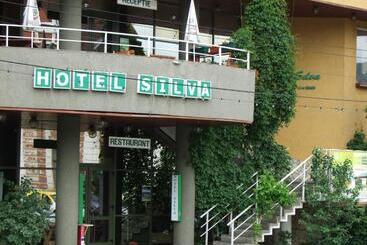 فندق Silva