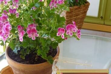 ベッドアンドブレックファースト La Clé Des Chants