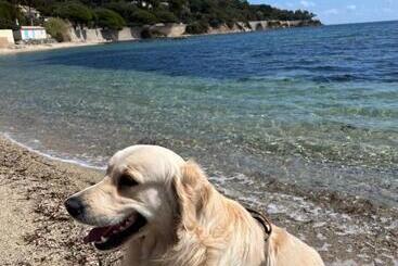 צימר La Bergerie